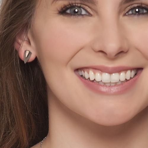 FelantriX™ Chevron Earrings- Silver