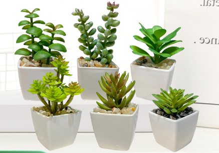 FelantriX™ Miniature Faux Succulent Cactus Indoor Plant Pot