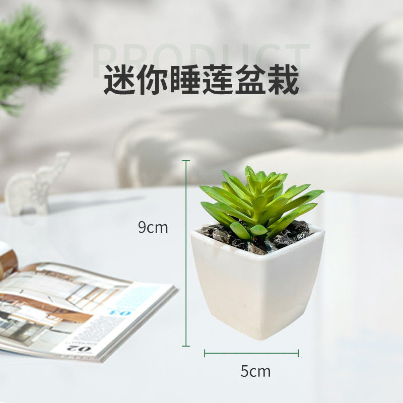 FelantriX™ Miniature Faux Succulent Cactus Indoor Plant Pot