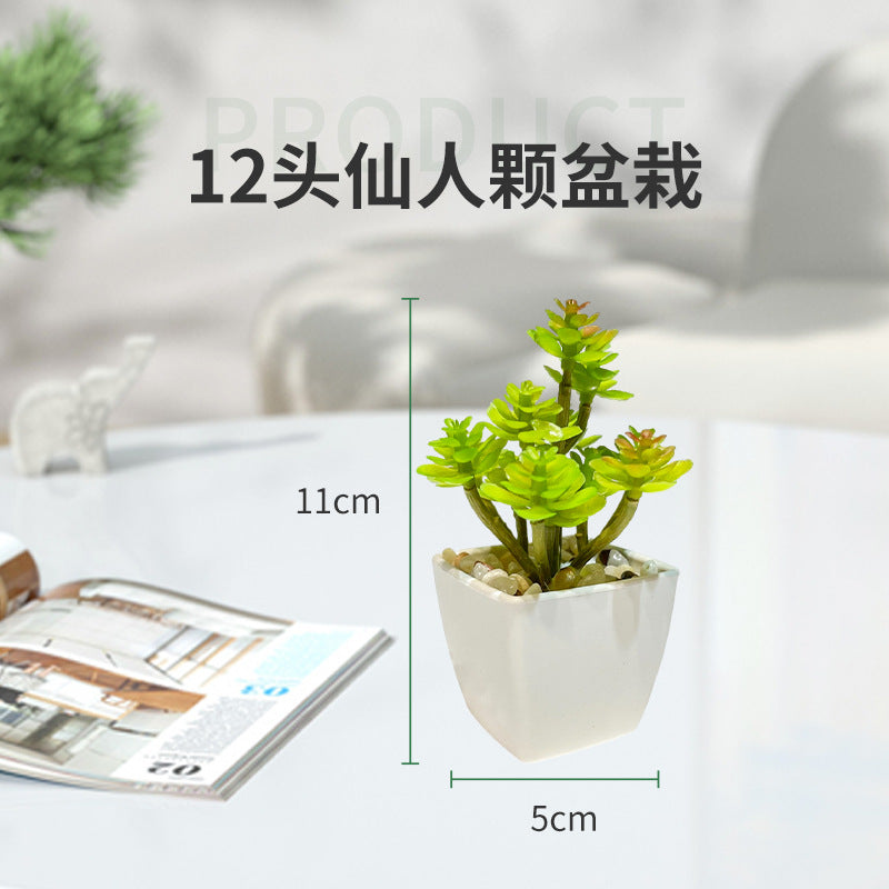 FelantriX™ Miniature Faux Succulent Cactus Indoor Plant Pot